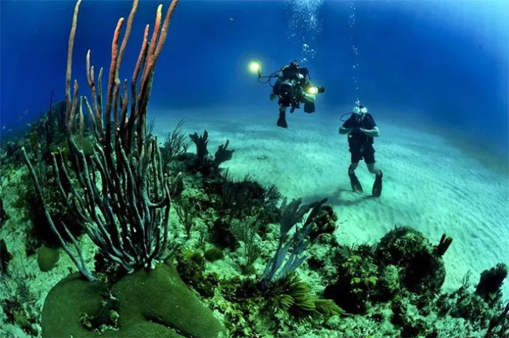 Scuba Instructor